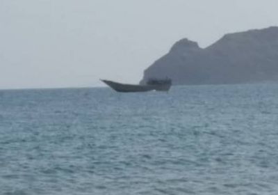 القوات المشتركة تحتجز قاربين لخفر سواحل إريتريا