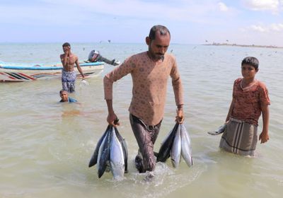 "فاو" تدشن مشروعا لدعم 5000 صياد