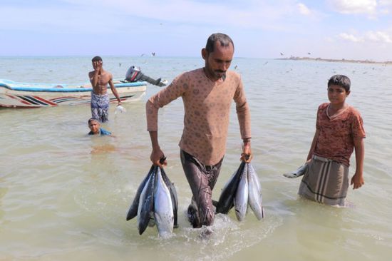 "فاو" تدشن مشروعا لدعم 5000 صياد