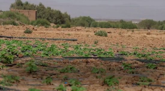 "الإنمائي": حماية 22 ألف هكتار في موسم الأمطار