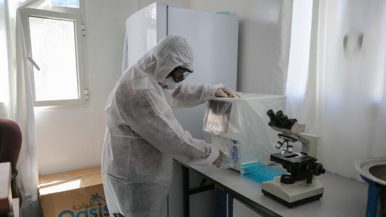 إجلاء دفعة جديدة من العالقين بالقاهرة غدا