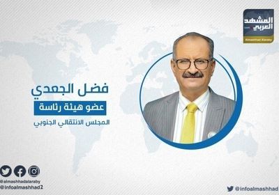 الجعدي: لن نقبل بضغوط تنتقص من حق الجنوب في تقرير مصيره