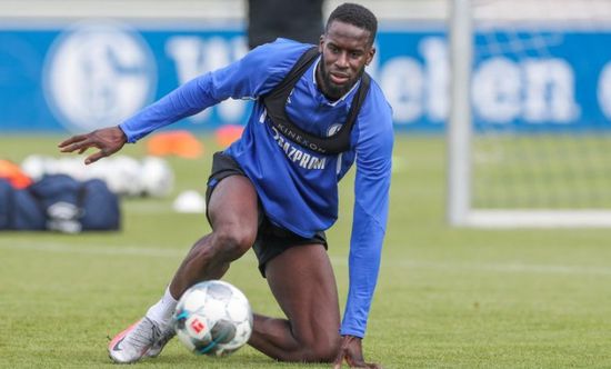 شالكه يفتقد جهود ساني حتى نهاية الموسم