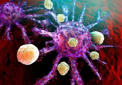 دراسة.. الخلايا المناعية تُنبئ بما ينتظر المريض المصاب بكورونا