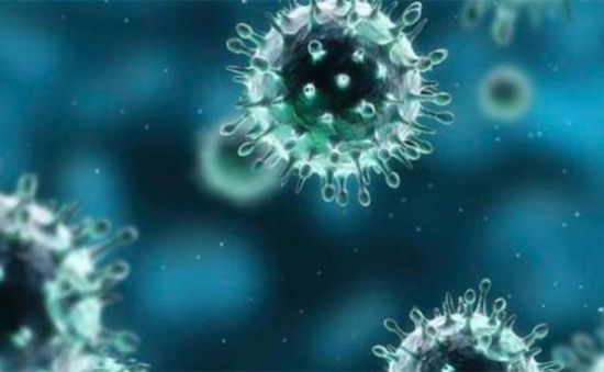 3 وفيات و5 إصابات بكورونا في ساحل حضرموت