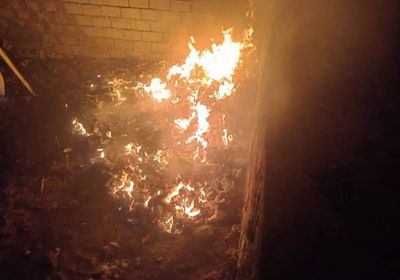 بالصور.. مصادرة كمية ضخمة من القات بساحل حصيحصة