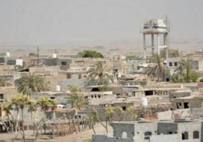 في ثالث هجوم.. المدفعية الحوثية تضرب قرى الدريهمي