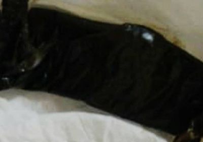 ضبط حشيش بحوزة شخص بالريدة وقصيعر