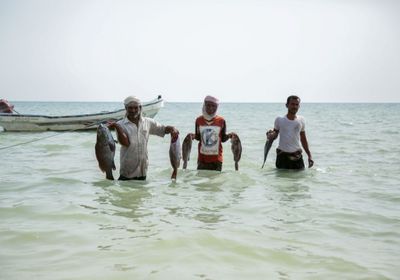 فاو تخطط لإعادة تأهيل مصايد الأسماك