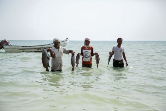 فاو تخطط لإعادة تأهيل مصايد الأسماك