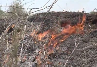 بالفيديو.. نيران الحوثي تأكل مزرعة مواطن في التحيتا