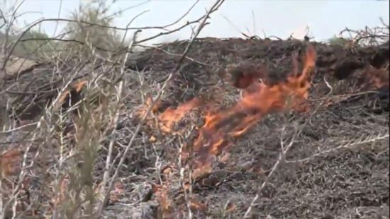 بالفيديو.. نيران الحوثي تأكل مزرعة مواطن في التحيتا