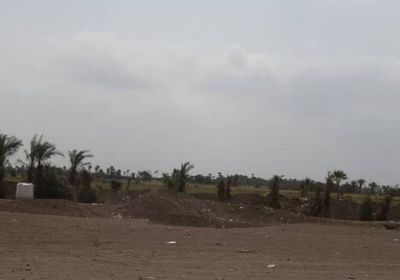 الهاون الحوثي يجدد خروقاته في الجبلية