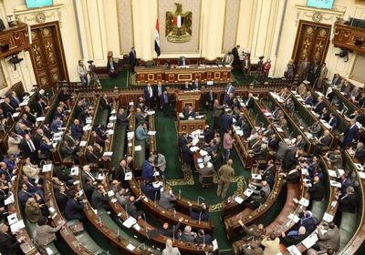 برلماني في رسالة إلى وزير الخارجية الإثيوبي: تعقل فأنت تتحدث مع مصر