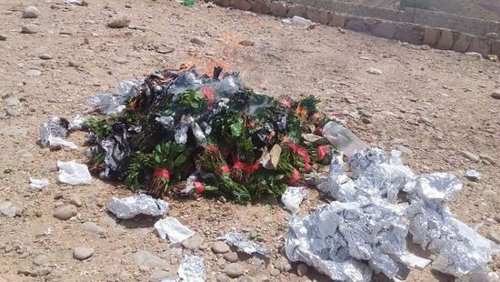 نقطة الصلب تُحبط إدخال 100 بندل قات للمكلا (صور)