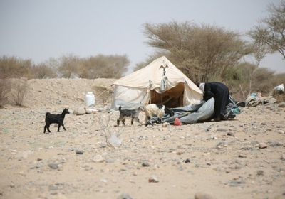 "كير": ظروف مأساوية في 1636 موقع نزوح باليمن