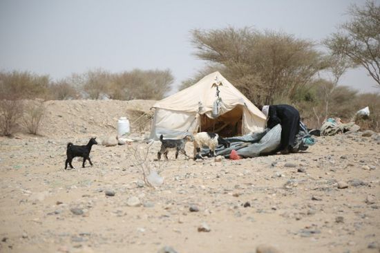 "كير": ظروف مأساوية في 1636 موقع نزوح باليمن