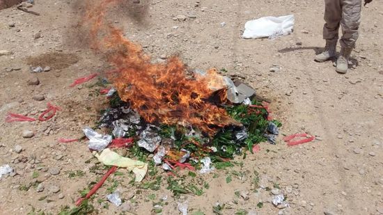 ضبط 120 بندل قات بحوزة صومالية في مدخل المكلا (صور)