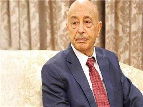 رئيس البرلمان الليبي: الشعب يطلب رسميا من مصر التدخل العسكري لمساندة جيشنا