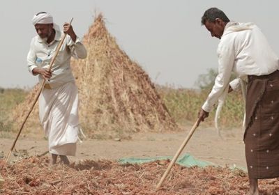 فاو: جهود متواصلة لمواجهة شح المياه باليمن