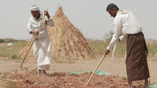 فاو: جهود متواصلة لمواجهة شح المياه باليمن