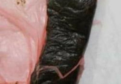 ضبط 6 متهمين بتهريب مخدرات في عسد الفاي