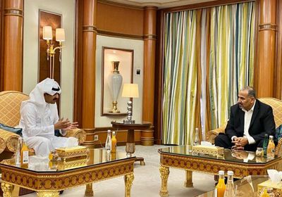 الزعتر يناقش آخر مستجدات قضية الجنوب مع الرئيس الزُبيدي