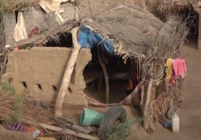 جرائم الحوثي تطال قرية الجريبة في الدريهمي (فيديو)