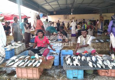ارتفاع أسعار الأسماك في أسواق أبين