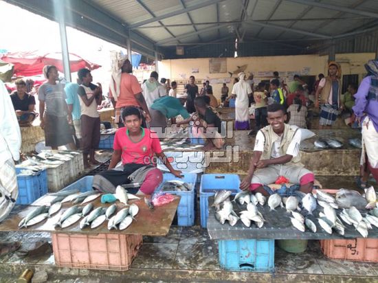 ارتفاع أسعار الأسماك في أسواق أبين