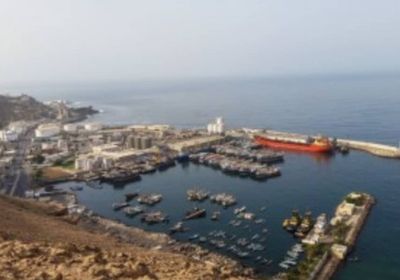 البرنامج السعودي: زيادة طاقة استيعاب ميناء نشطون بعد تطويره