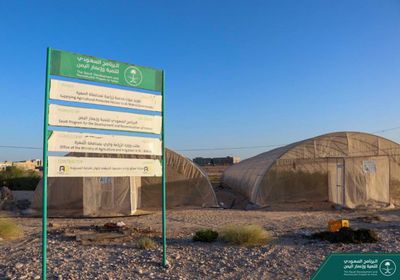 البرنامج السعودي: تقنيات لخفض استهلاك المياه في الزراعة