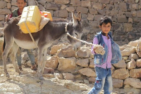 الإنمائي: محاربة المجاعة بمشاريع الأمن الغذائي