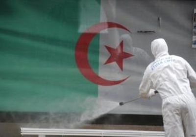  حصيلة إصابات كورونا في الجزائر تتخطى 13 ألف حالة 