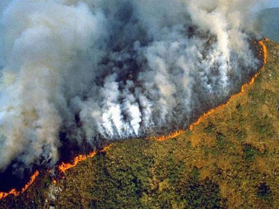  البرازيل: توقعات بحدوث أسوأ حرائق في غابات الأمازون بحلول أغسطس