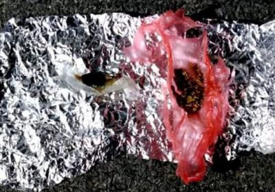 ضبط متهم بحيازة الحشيش في عسد الفاي