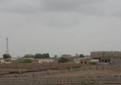 كسر محاولة تسلل حوثية في التحيتا