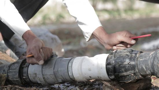 "فاو": تعزيز قدرة المزراعين على الصمود