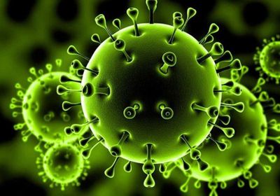  ارتفاع حالات الإصابة بفيروس كورونا في سلطنة عمان إلى 53614