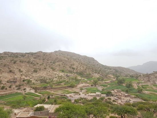 آلية توزيع الحالات تُغضب مزارعي ردفان