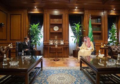 وزير الشؤون الخارجية السعودي يلتقي بسفير البوسنة والهرسك