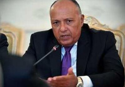  وزير الخارجية المصري: لم نحرز أي تقدم في مفاوضات سد النهضة حتى الآن