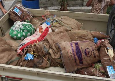 ضبط قاربين حاولا تهريب 3500 بندل قات لساحل بروم