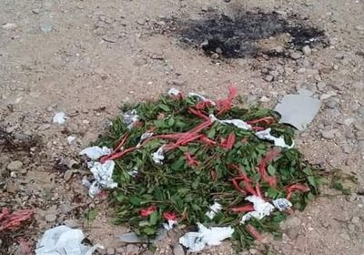 إحباط تهريب 20 بندل قات إلى داخل المكلا