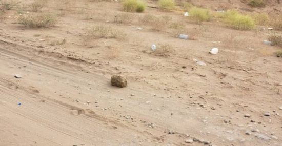 إبطال مفعول عبوة ناسفة حوثية بالحديدة