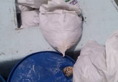 ضبط شحنة ذخيرة في طريقها للحوثي بالبحر الأحمر