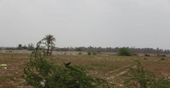 اعتداء حوثي على المناطق السكنية في الجبلية