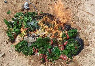 إتلاف 20 بندل قات في نقطة الصلب بالمكلا