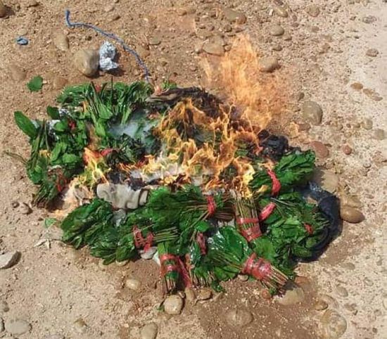 إتلاف 20 بندل قات في نقطة الصلب بالمكلا