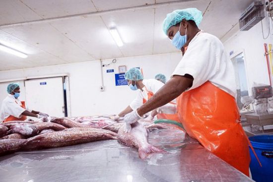 منحة أمريكية لقطاعي الزراعة والصيد بـ27.4 مليون دولار